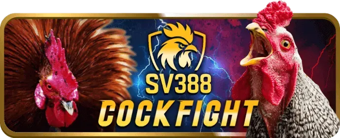 Hình ảnh cá cược thể thao tại so79 link vào